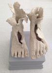 Footloose 1 by Sue Brelade