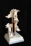 'Walk On' by Sue Brelade (1)